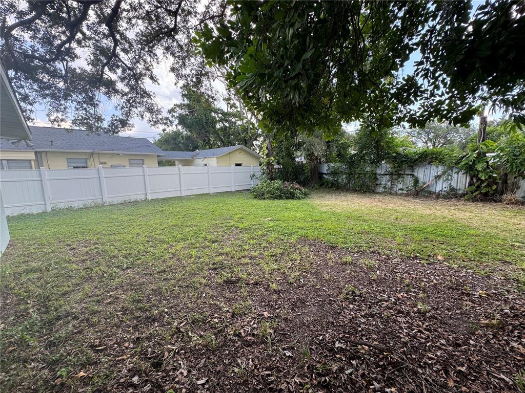 A light green single-story house with a white door and a large tree in front — 1493 CLEVELAND STREET, CLEARWATER, FL