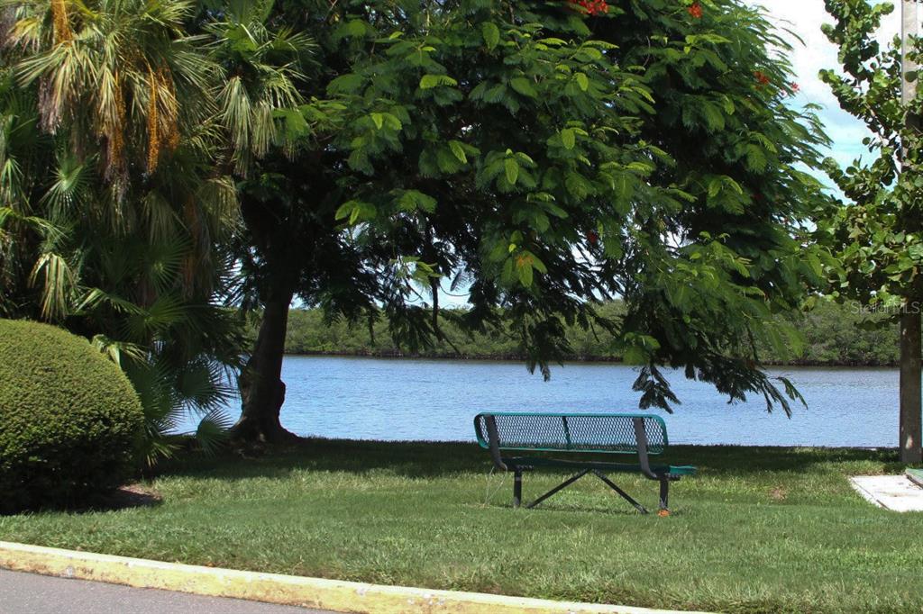A green metal bench sits on a grassy lawn under a large tree by water — 611 DESTINY DRIVE UNIT 501, RUSKIN, FL