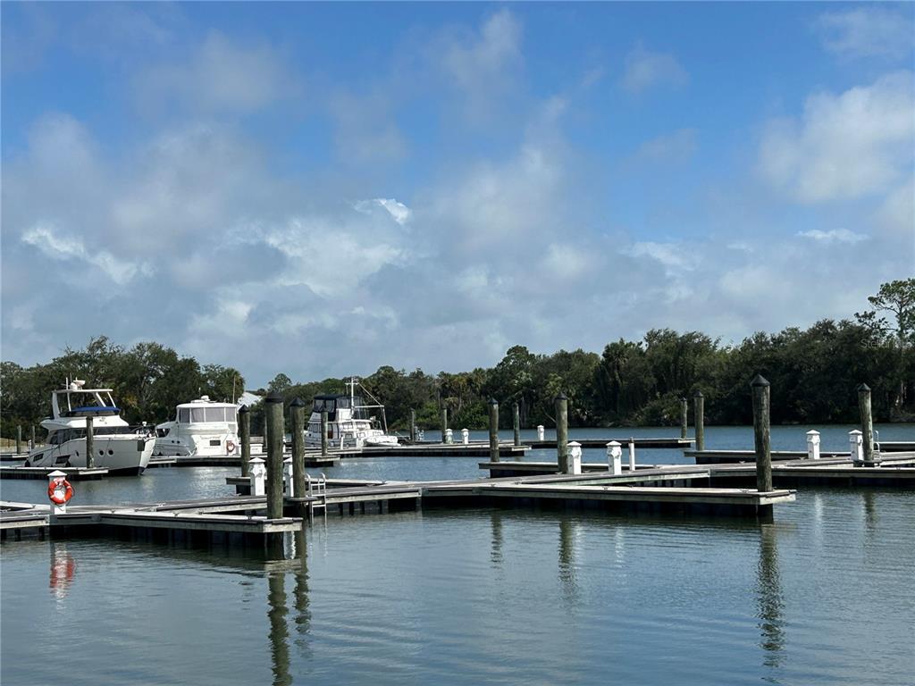 46 DEL PALMA DRIVE, PALM COAST, FL — photo 3 of 14