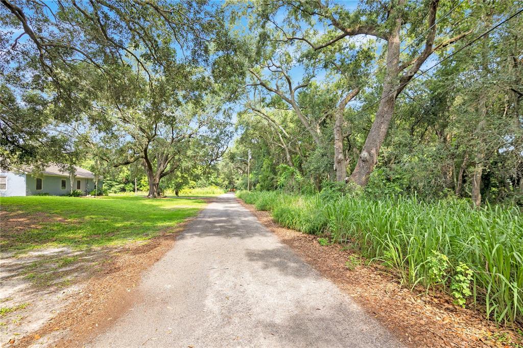 A paved driveway leads past a grassy lawn and large trees toward a residential house — AVALON ROAD UNIT 53, WINTER GARDEN, FL