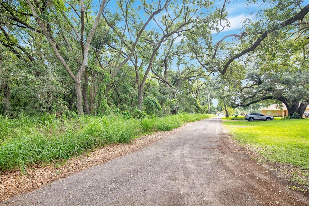 A gravel road runs alongside a wooded area and a grassy lawn with a house — AVALON ROAD UNIT 53, WINTER GARDEN, FL