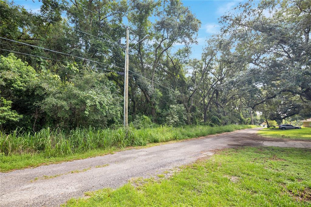 A gravel road runs alongside a dense, wooded lot with a utility pole — AVALON ROAD UNIT 53, WINTER GARDEN, FL