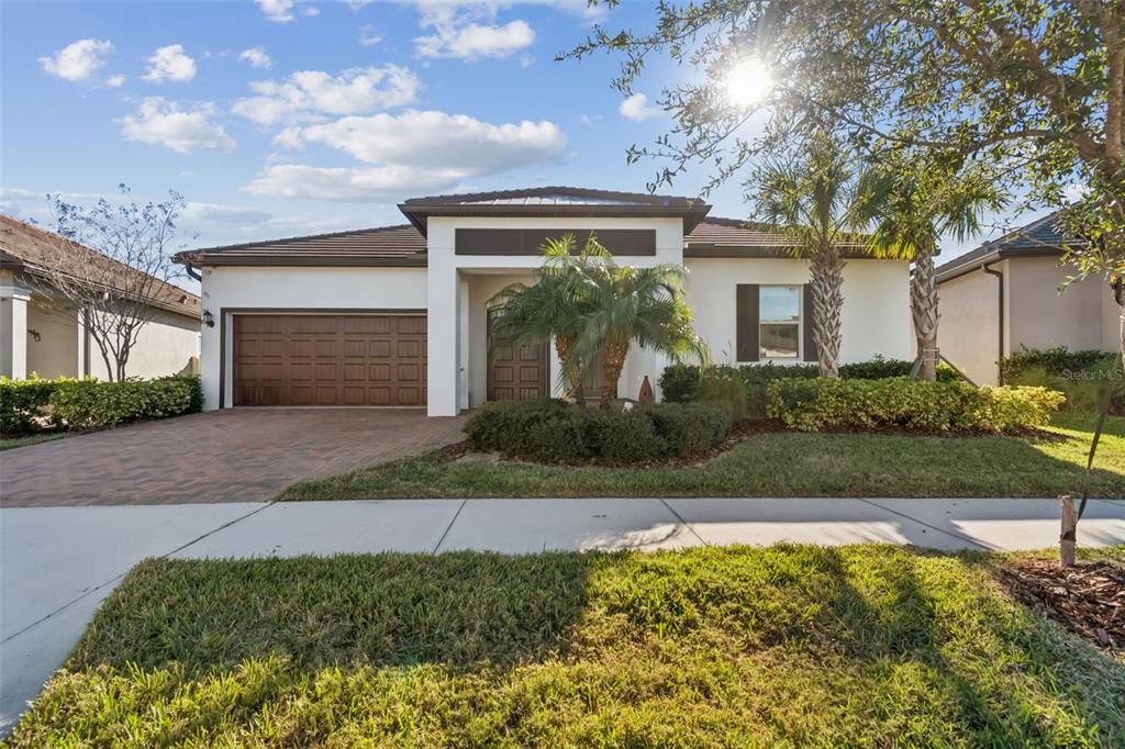 A single-story house with a brown garage door, a paved driveway, and a palm tree — 31516 CABANA RYE, SAN ANTONIO, FL