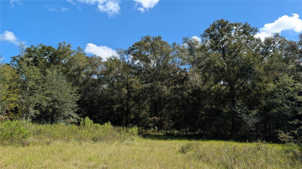 Lot 3 NE 48TH COURT, HIGH SPRINGS, FL — photo 3 of 4