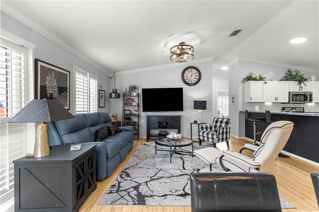 A living room features a blue sofa, a patterned area rug, and an open kitchen — 1660 ORR TERRACE, THE VILLAGES, FL