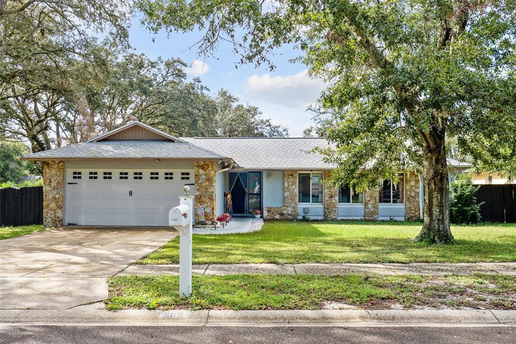 1163 SADDLEHORN CIRCLE