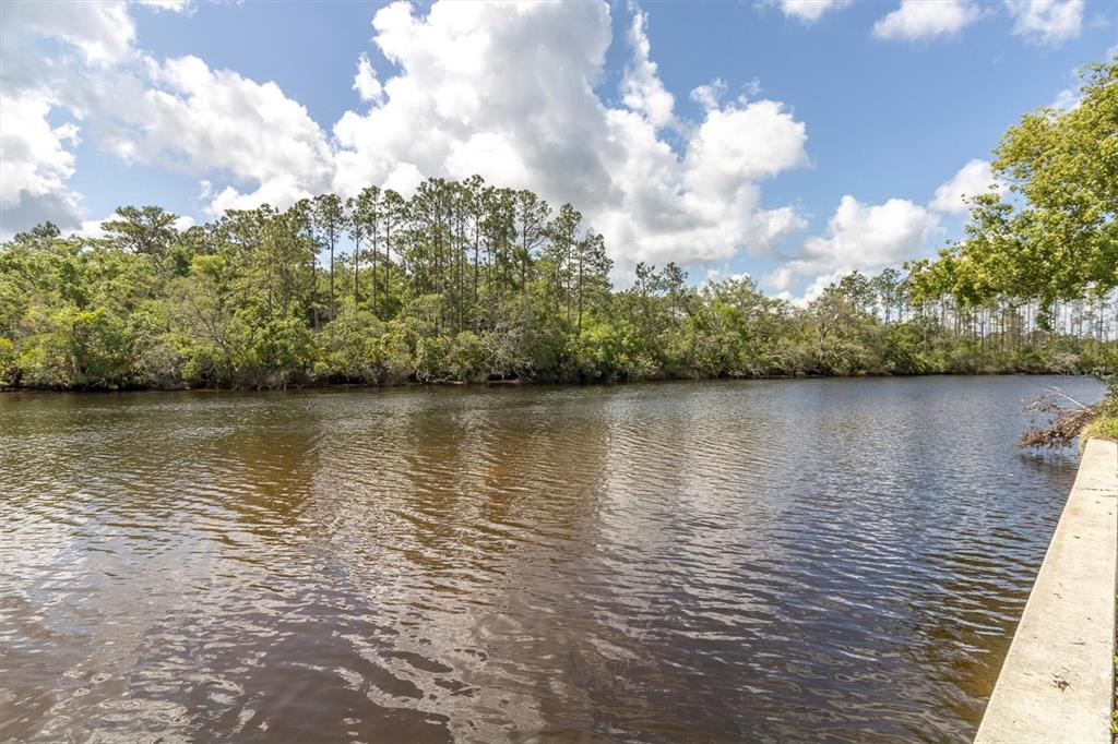 A view of a dark, rippling river bordered by a dense forest and a concrete wall — FLOTILLA, HOLIDAY, FL