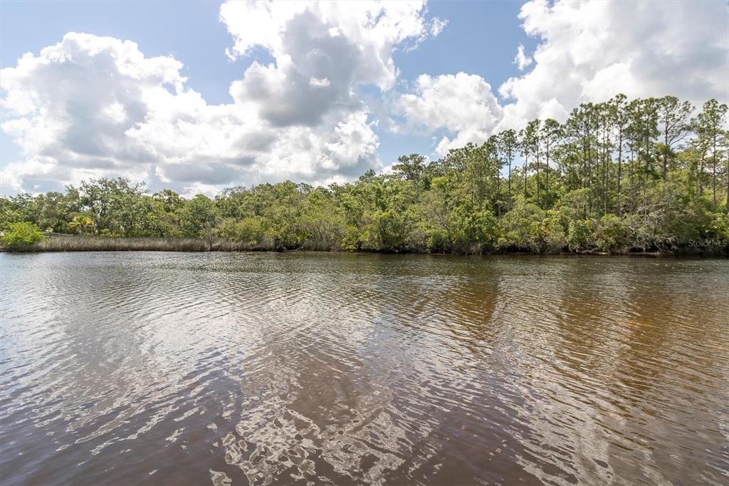 A view of a calm river bordered by a dense line of green trees — FLOTILLA, HOLIDAY, FL