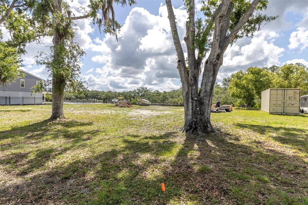 A grassy lot features two large trees, a storage container, and a boat in the distance — FLOTILLA, HOLIDAY, FL