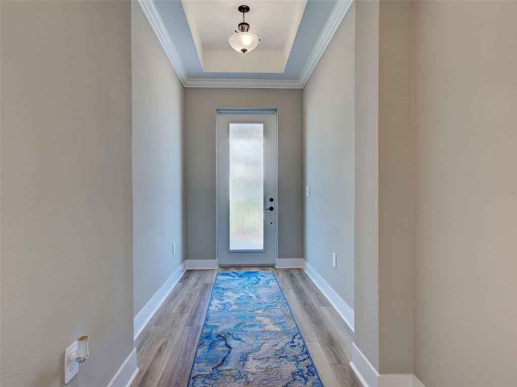A narrow entryway features light gray walls, wood-look flooring, a blue runner rug, and tray ceiling — 1684 LUGANO CIRCLE, NOKOMIS, FL