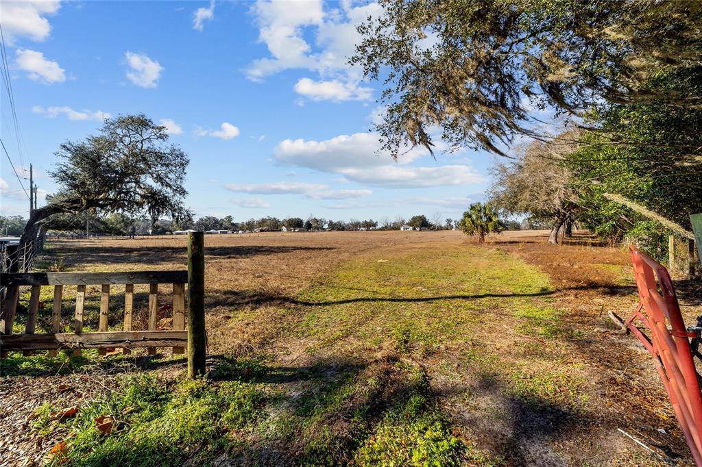 A view of a large, open, grassy field bordered by trees and a wooden fence — 4101 SE 110TH STREET, BELLEVIEW, FL