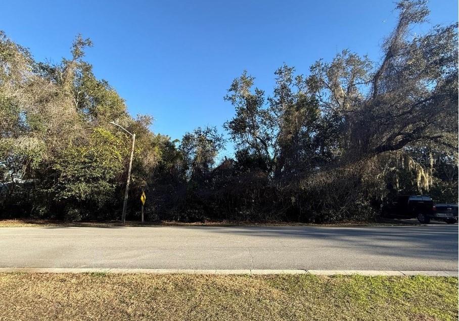 740 OLD TREELINE TRAIL