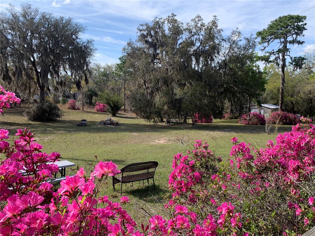 A grassy yard features blooming pink azalea bushes, a small bench, and large mossy trees — 24605 and 24645 NE 177TH TERRACE, FORT MC COY, FL
