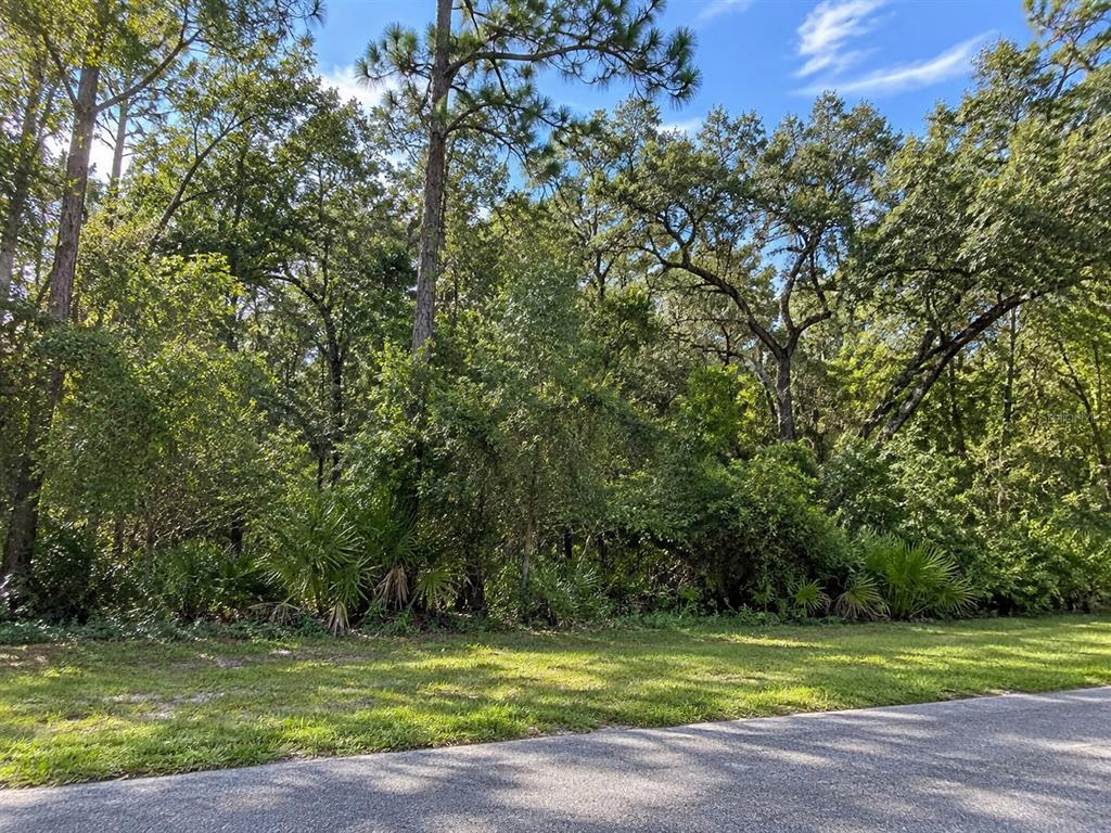 LITHIA PINECREST ROAD, VALRICO, FL — photo 2 of 14