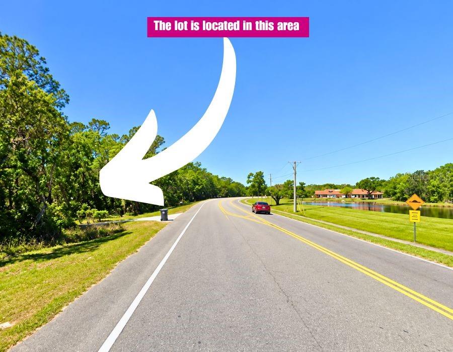 LITHIA PINECREST ROAD, VALRICO, FL — photo 4 of 14