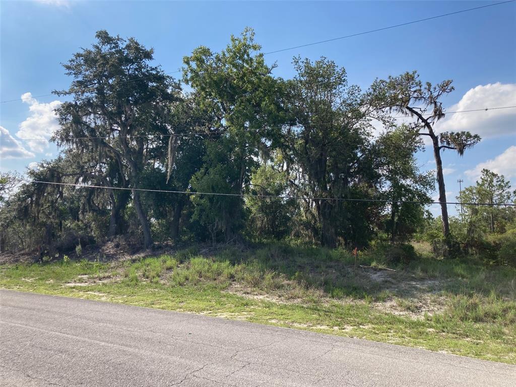 A paved road runs in front of a wooded lot with several large, moss-draped trees — 0 3RD AVENUE, BABSON PARK, FL