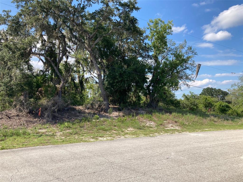 A vacant, wooded lot with mature trees sits along a paved road under a blue sky — 0 3RD AVENUE, BABSON PARK, FL
