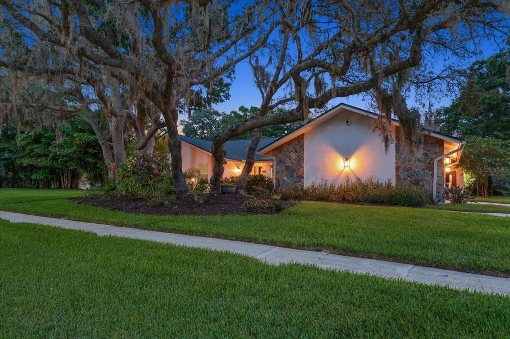 A single-story house with stone accents and large oak trees at dusk — 2423 FOXHEAD WAY, CLEARWATER, FL