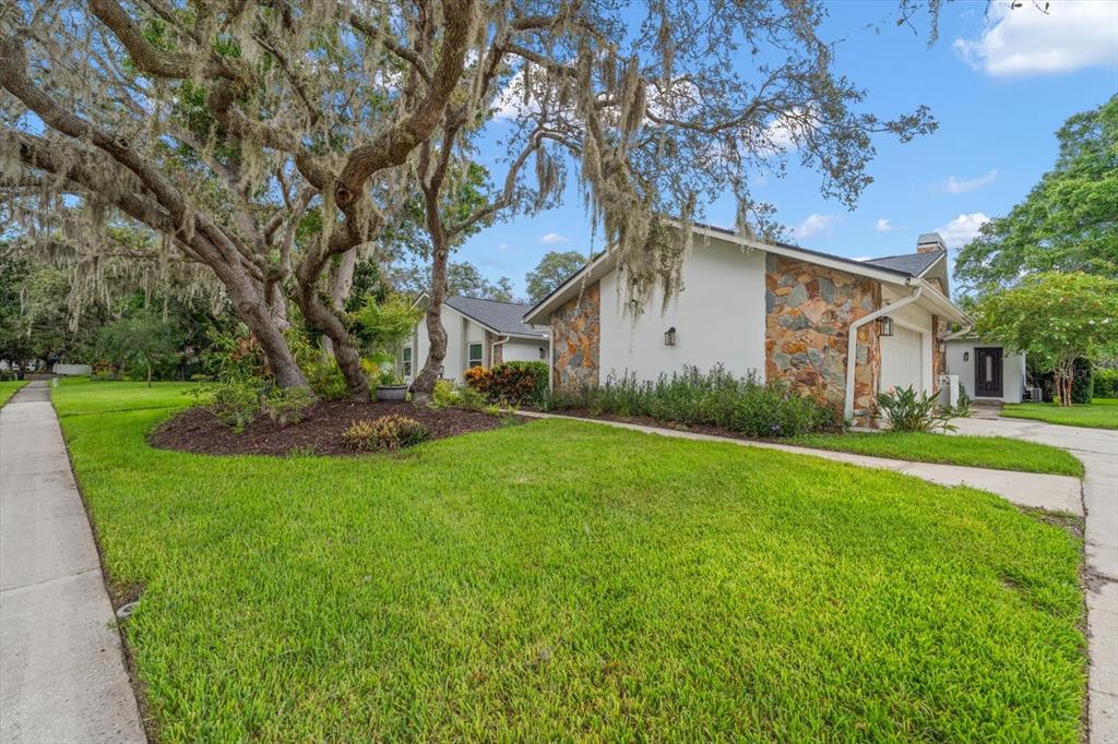 A single-story house with stone siding and a large oak tree in the front yard — 2423 FOXHEAD WAY, CLEARWATER, FL
