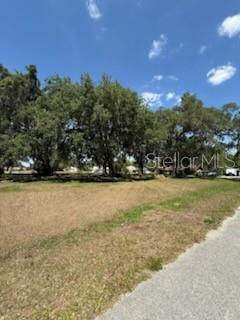 A vacant grassy lot features several large, mature trees under a clear blue sky — 0 RIVER OAK DRIVE, FORT MEADE, FL