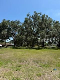 A grassy, vacant lot features several large, mature oak trees under a clear blue sky — 0 RIVER OAK DRIVE, FORT MEADE, FL