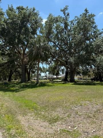 A grassy, undeveloped lot features several large, mature oak trees under a clear blue sky — 0 RIVER OAK DRIVE, FORT MEADE, FL