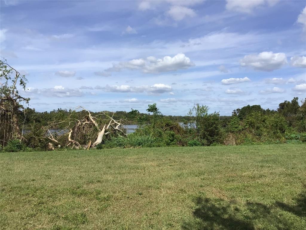 1304 ALAMEDA AVENUE, CLEARWATER, FL — photo 4 of 30