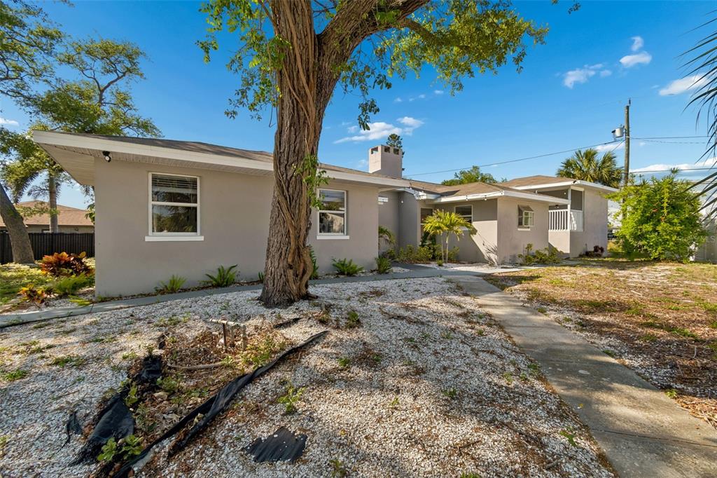 A single-story house with gray stucco siding, a large tree, and a gravel front yard — 125 HARBOR BLUFF DRIVE, LARGO, FL