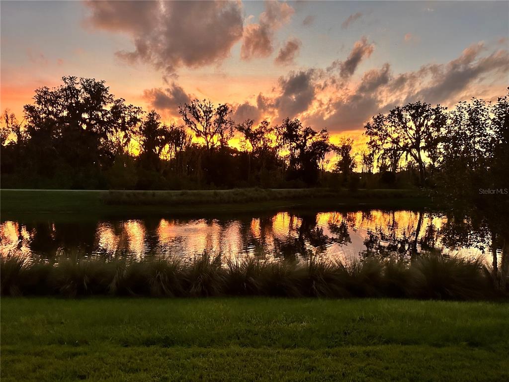 4398 PEZZULLO CIRCLE, THE VILLAGES, FL — photo 4 of 30