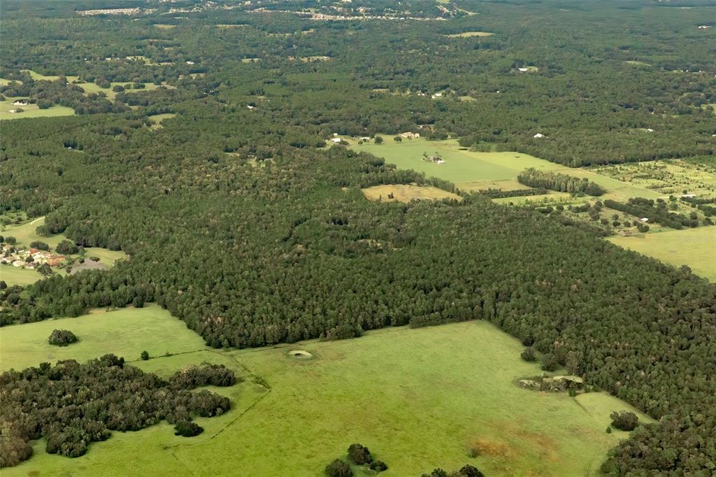 CRUM ROAD, BROOKSVILLE, FL — photo 2 of 22