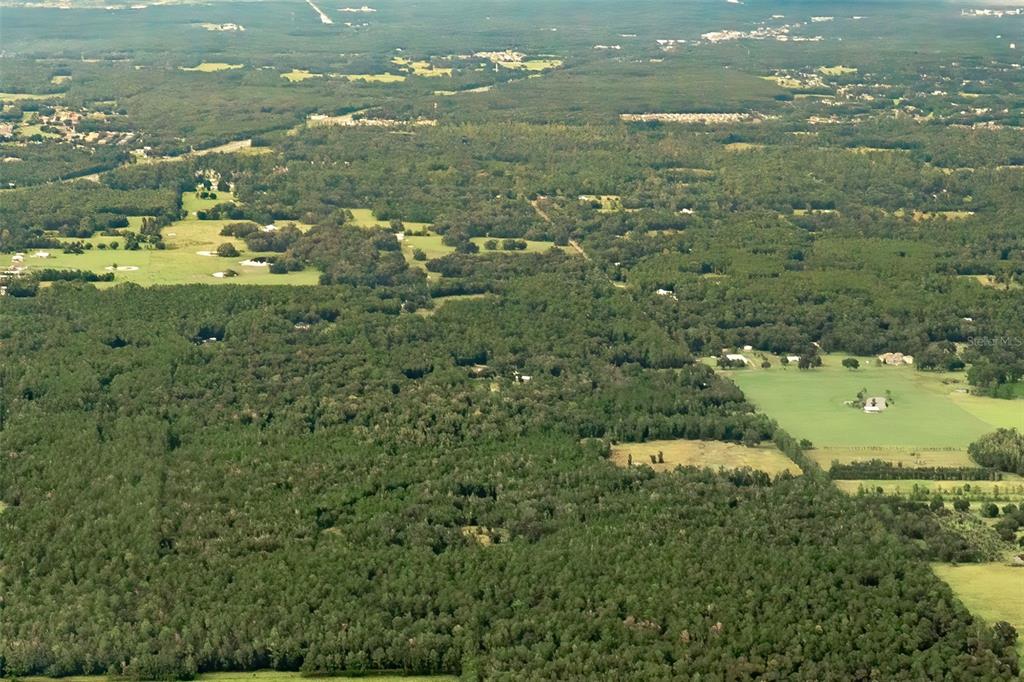CRUM ROAD, BROOKSVILLE, FL — photo 5 of 22