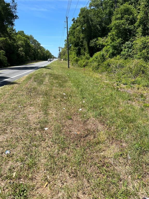 A grassy roadside shoulder runs alongside a paved road bordered by a dense tree line — 00 W HWY 40, LOT 11, OCALA, FL