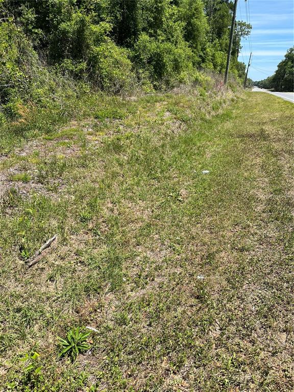 A grassy roadside verge slopes upward toward a dense line of trees and utility poles — 00 W HWY 40, LOT 11, OCALA, FL