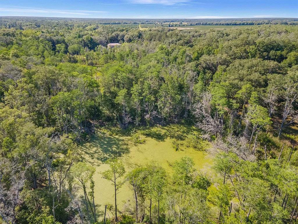 An aerial view shows a green, algae-covered pond surrounded by a dense forest of trees — 2000 MIXON ROAD, PERRY, FL