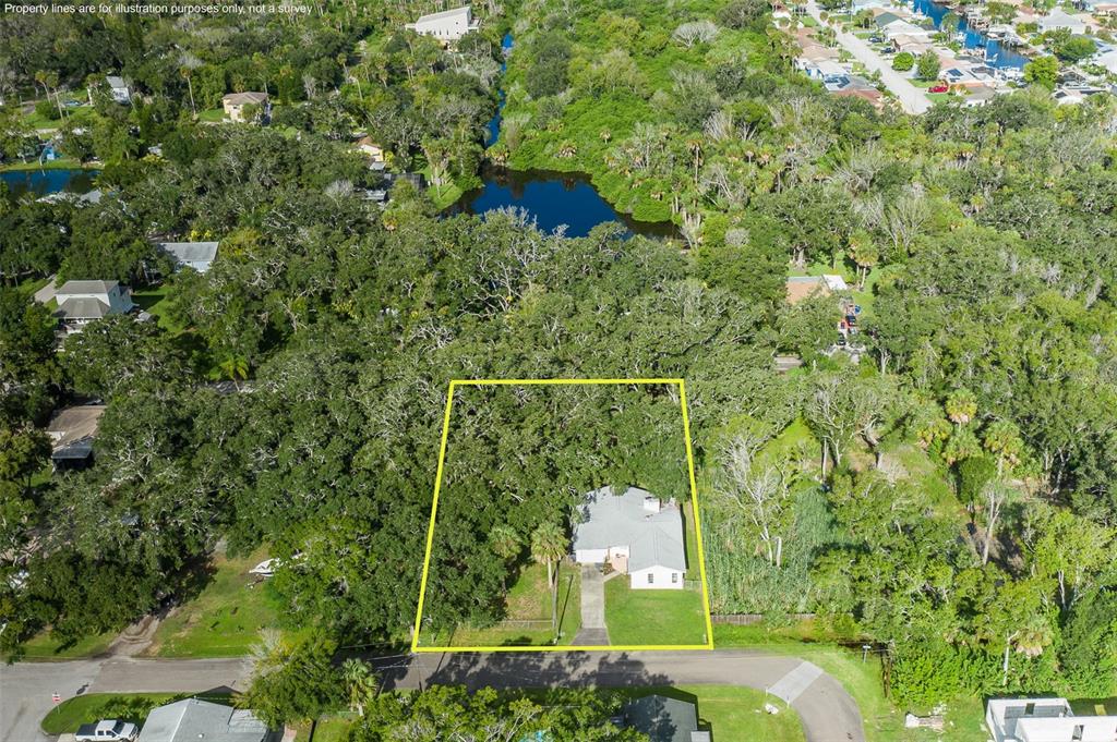 4715 NEEDLE PALM DRIVE, NEW PORT RICHEY, FL — photo 4 of 30