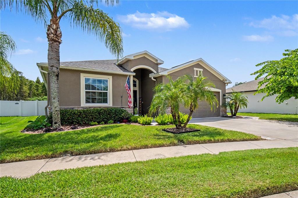 A single-story suburban house with a tan stucco exterior, a two-car garage, and palm trees — 18756 BURNDALL COURT, LAND O LAKES, FL