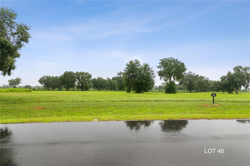 A grassy, undeveloped lot with scattered trees is viewed from an adjacent paved road — Lot 46 SW 125TH CIRCLE, ARCHER, FL
