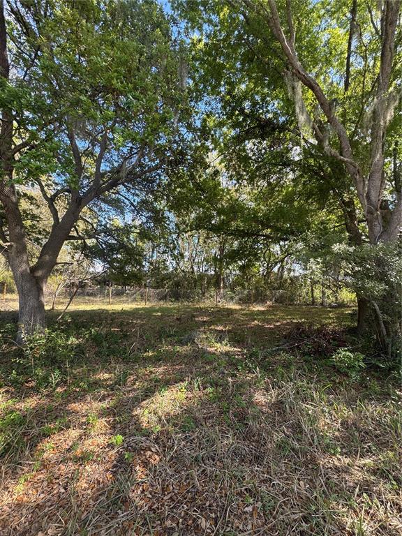 A wooded, grassy lot features large oak trees and a chain-link fence in the background — 0 DENMARK STREET, BARTOW, FL
