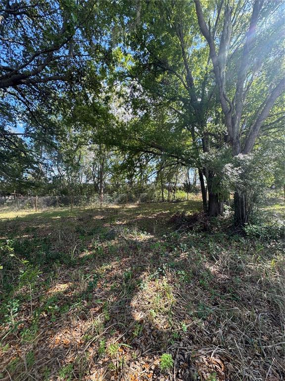 A wooded, undeveloped lot features large mature trees and a chain-link fence in the background — 0 DENMARK STREET, BARTOW, FL