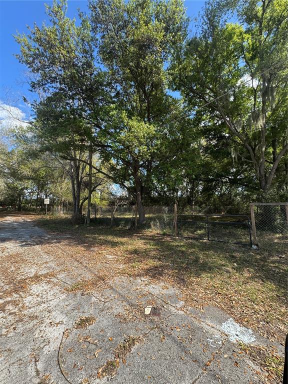 A gravel driveway leads to a fenced, wooded lot with large trees under a blue sky — 0 DENMARK STREET, BARTOW, FL