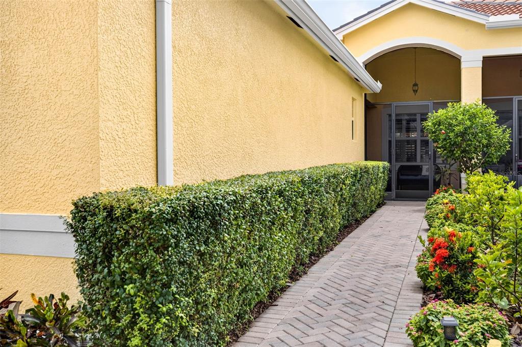 A paved walkway leads to a screened entryway beside a yellow stucco wall and hedge — 16227 AMETHYST KEY DRIVE, WIMAUMA, FL