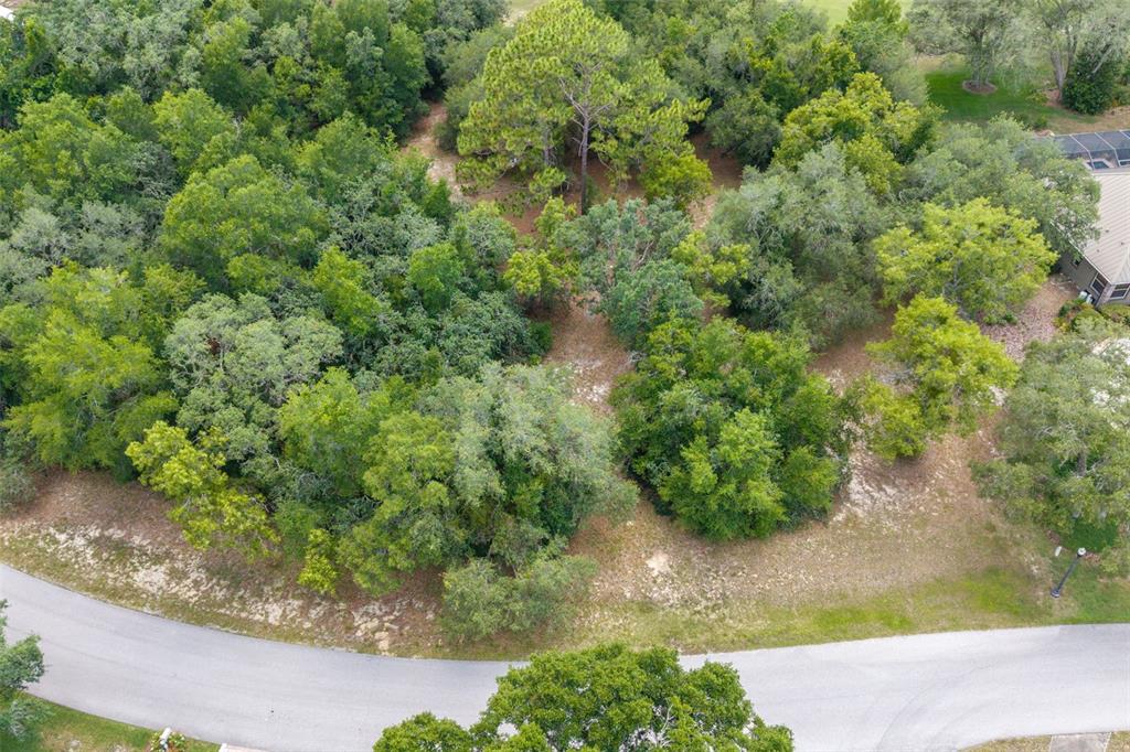4695 N PINE VALLEY LOOP, LECANTO, FL — photo 2 of 30