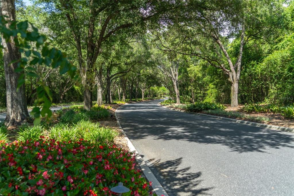 4695 N PINE VALLEY LOOP, LECANTO, FL — photo 5 of 30