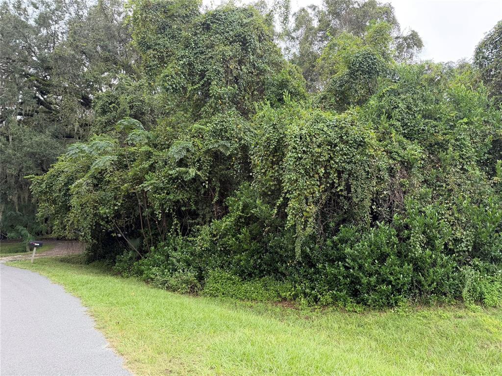 4928 SW 64TH STREET, GAINESVILLE, FL — photo 4 of 5