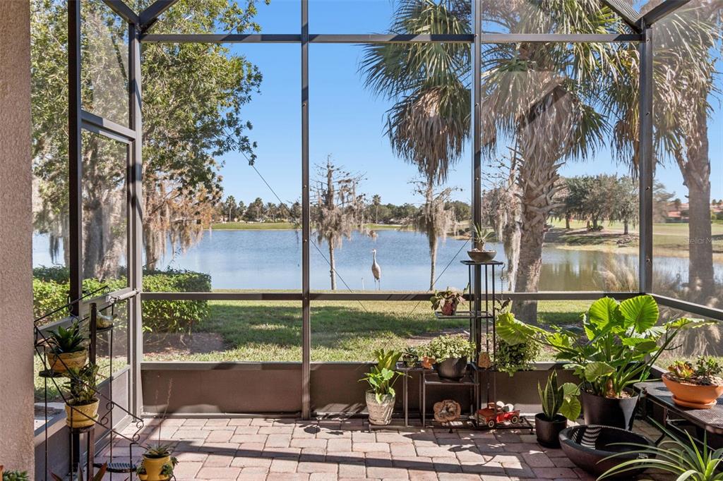 2376 PALM TREE DRIVE