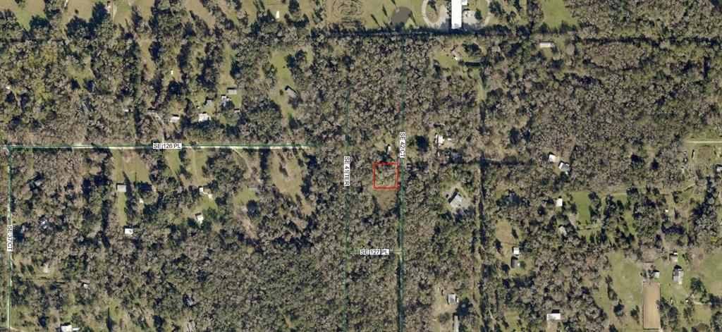 SE 42 COURT, BELLEVIEW, FL — photo 2 of 3