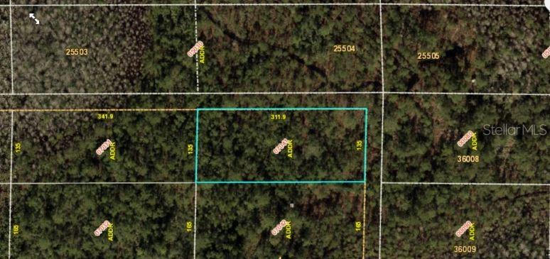 This is an aerial map view showing a rectangular plot of land outlined in blue — E COLONIAL DRIVE, ORLANDO, FL