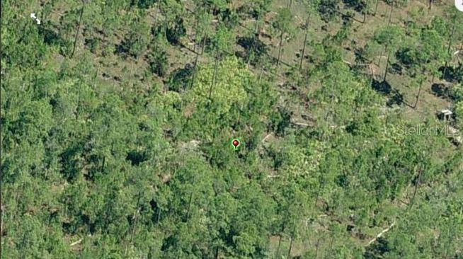 An aerial view shows a wooded lot with a red location pin in the center — E COLONIAL DRIVE, ORLANDO, FL