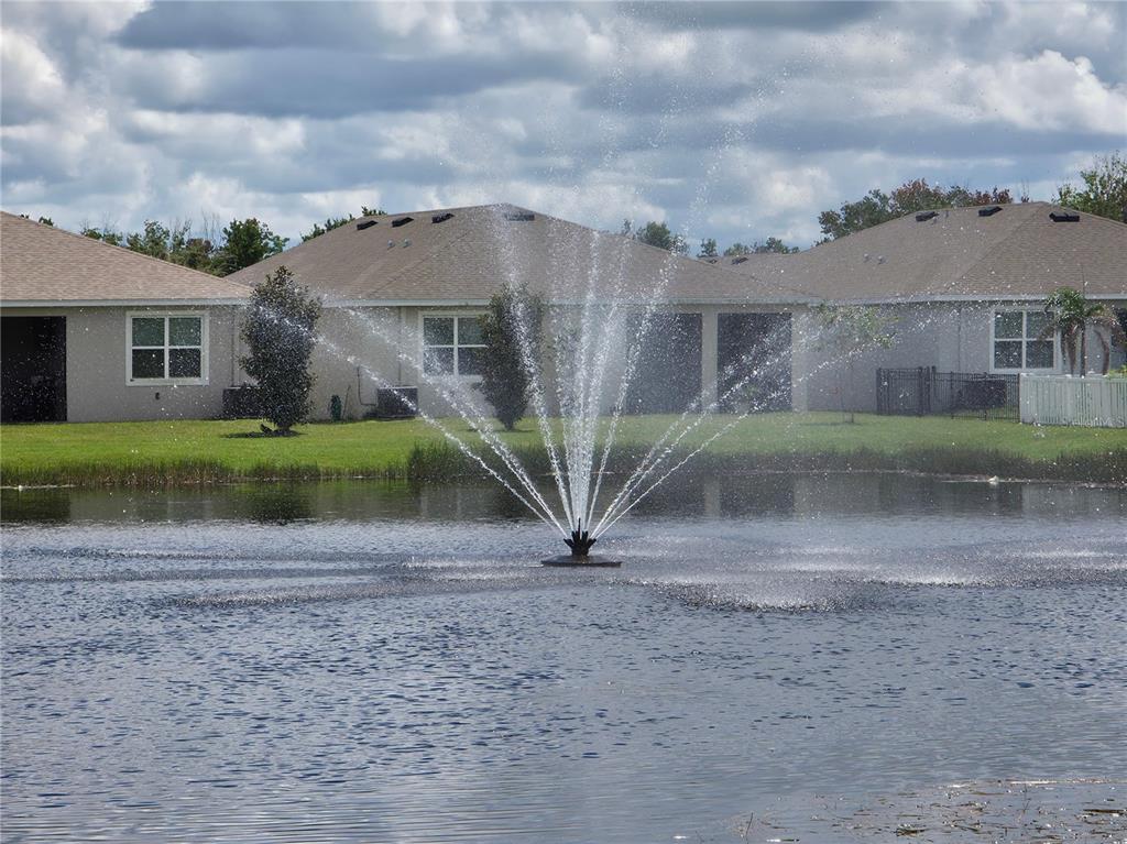 13318 WATERLEAF GARDEN CIRCLE, RIVERVIEW, FL — photo 4 of 20