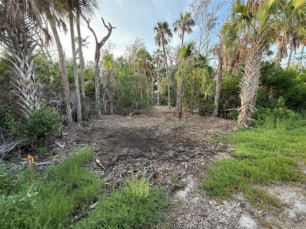 A cleared, wooded residential lot features several tall palm trees and native vegetation — 1471 S ESTUARY DRIVE, CRYSTAL RIVER, FL